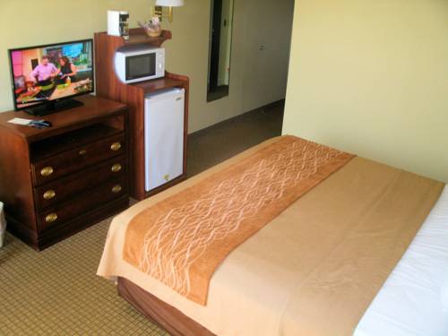 Imagen de la habitación del Hotel Comfort Inn Somerset. Foto 11