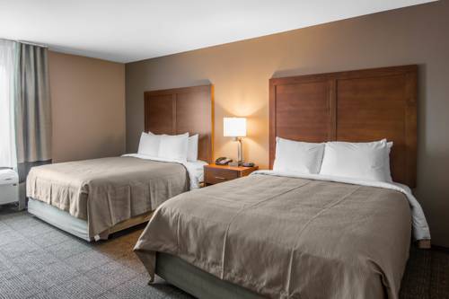 Imagen de la habitación del Hotel Comfort Inn South Chesterfield - Colonial Heights. Foto 4