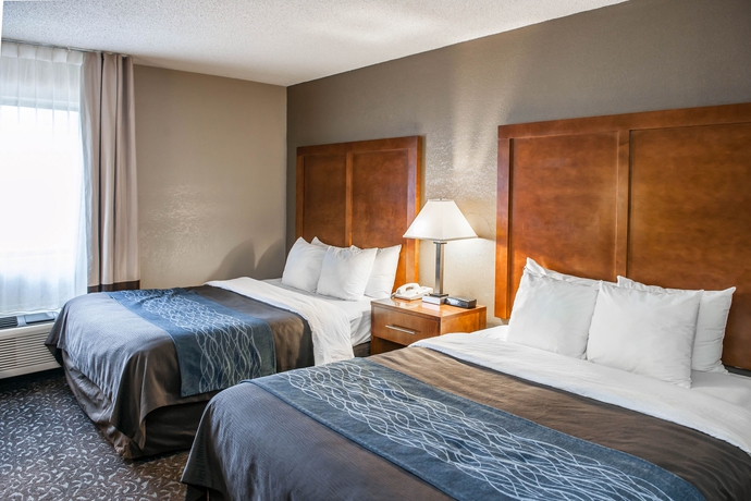 Imagen de la habitación del Hotel Comfort Inn South. Foto 5