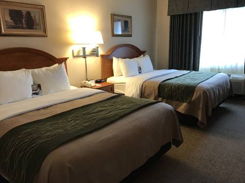 Imagen de la habitación del Hotel Comfort Inn South, Medford. Foto 3