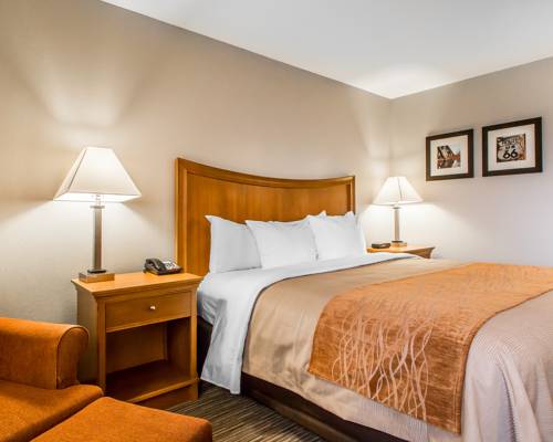 Imagen de la habitación del Hotel Comfort Inn South - Springfield. Foto 3