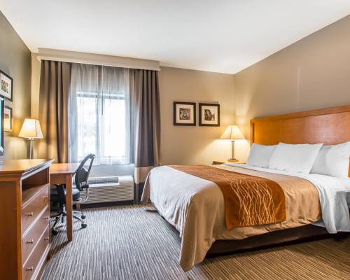 Imagen de la habitación del Hotel Comfort Inn South - Springfield. Foto 8