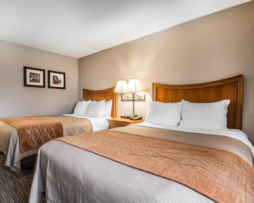 Imagen de la habitación del Hotel Comfort Inn South - Springfield. Foto 13