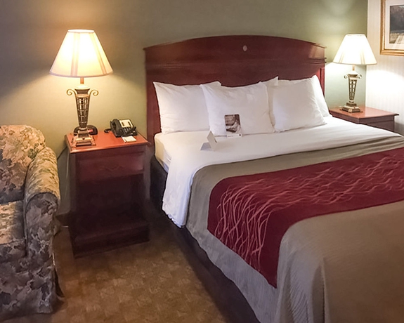Imagen de la habitación del Hotel Comfort Inn - Springfield. Foto 3