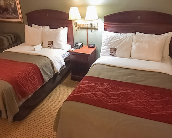 Imagen de la habitación del Hotel Comfort Inn - Springfield. Foto 6