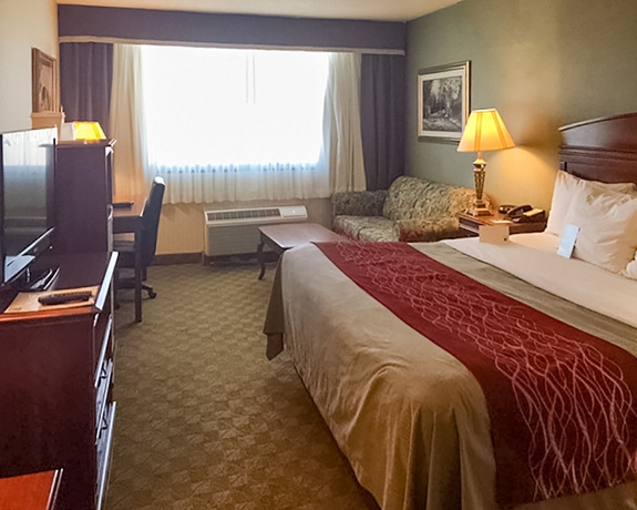 Imagen de la habitación del Hotel Comfort Inn - Springfield. Foto 9