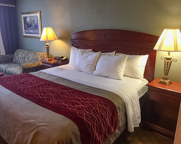 Imagen de la habitación del Hotel Comfort Inn - Springfield. Foto 10