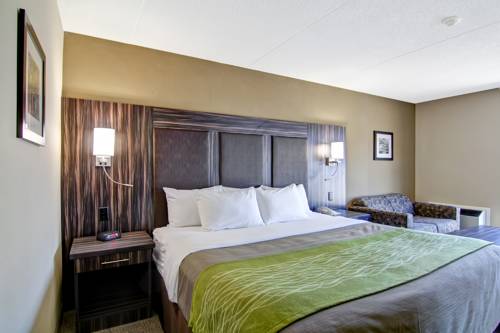 Imagen de la habitación del Hotel Comfort Inn St. Catharines. Foto 8
