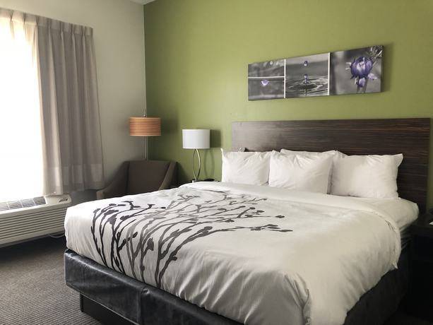 Imagen de la habitación del Hotel Comfort Inn St Louis &ndash; Airport. Foto 6