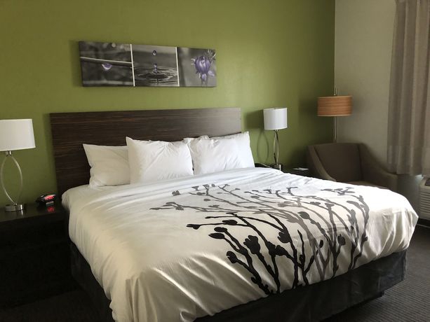 Imagen de la habitación del Hotel Comfort Inn St Louis &ndash; Airport. Foto 7