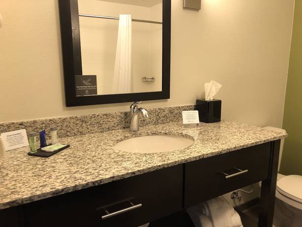 Imagen de la habitación del Hotel Comfort Inn St Louis &ndash; Airport. Foto 14