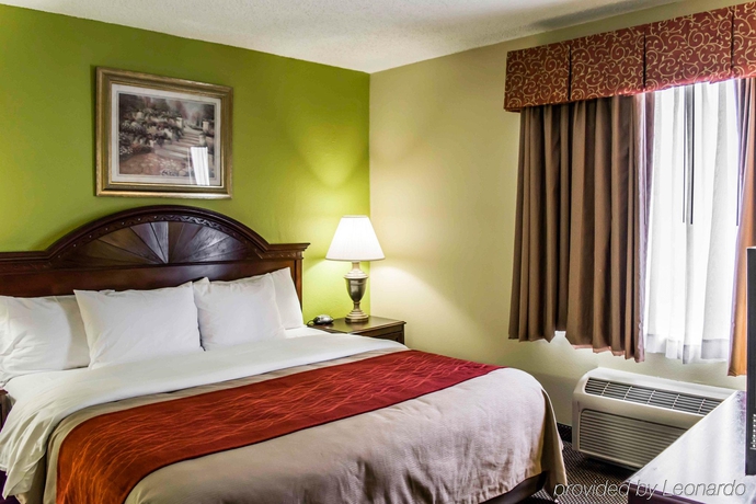 Imagen general del Hotel Comfort Inn St Petersburg North. Foto 6