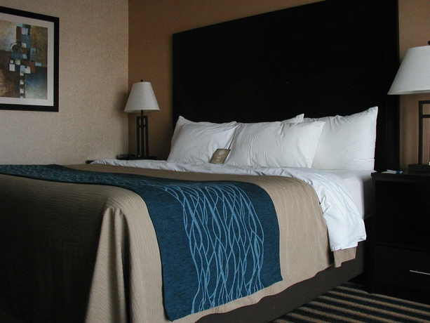 Imagen de la habitación del Hotel Comfort Inn St Thomas. Foto 10