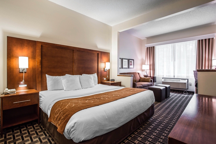 Imagen de la habitación del Hotel Comfort Inn Summerville - Charleston. Foto 6