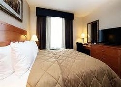 Imagen de la habitación del Hotel Comfort Inn Sunset Park Hotel. Foto 4