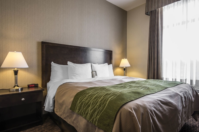 Imagen de la habitación del Hotel Comfort Inn Surrey. Foto 6