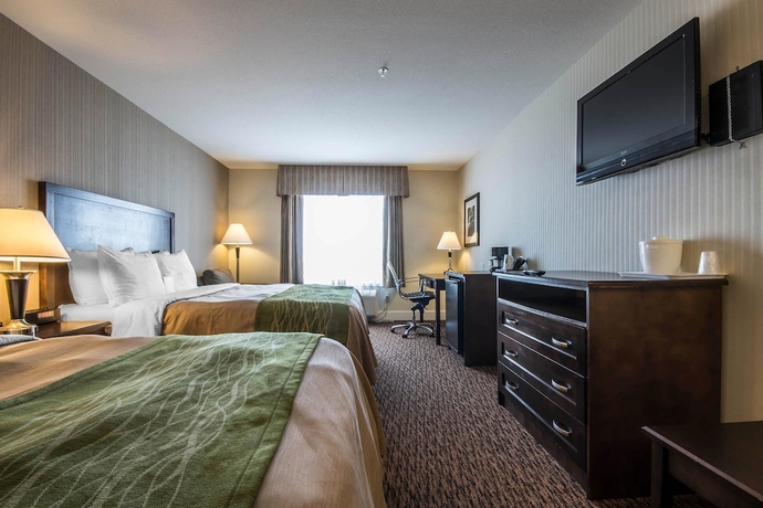 Imagen de la habitación del Hotel Comfort Inn Surrey. Foto 10