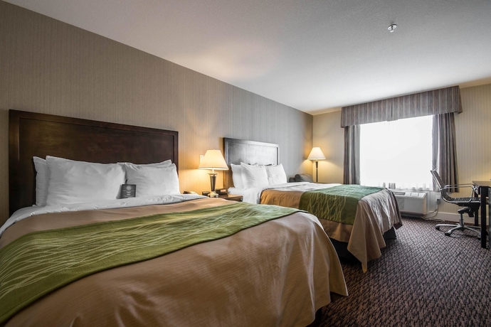 Imagen de la habitación del Hotel Comfort Inn Surrey. Foto 11