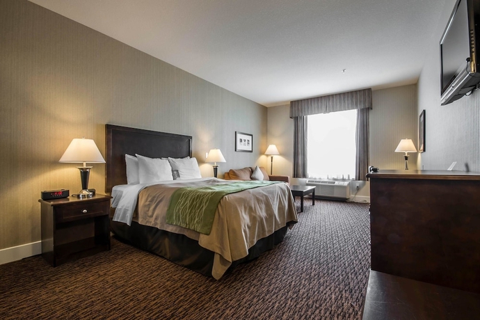 Imagen de la habitación del Hotel Comfort Inn Surrey. Foto 13