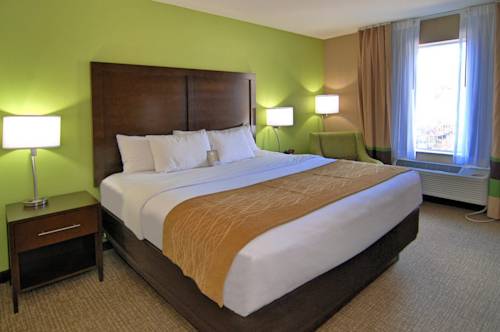 Imagen de la habitación del Hotel Comfort Inn Sylva - Cullowhee. Foto 3