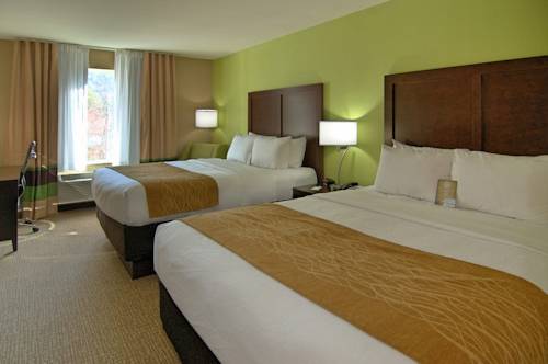 Imagen de la habitación del Hotel Comfort Inn Sylva - Cullowhee. Foto 4