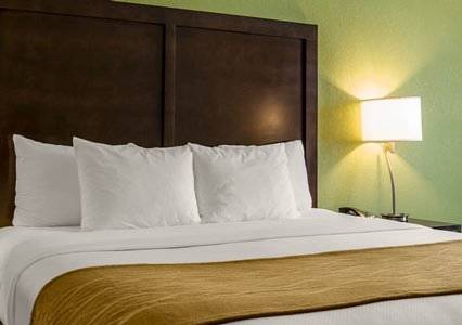 Imagen de la habitación del Hotel Comfort Inn Sylva - Cullowhee. Foto 6