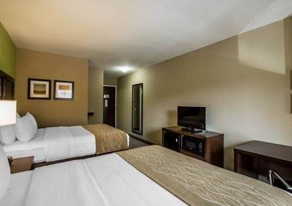 Imagen de la habitación del Hotel Comfort Inn Sylva - Cullowhee. Foto 7