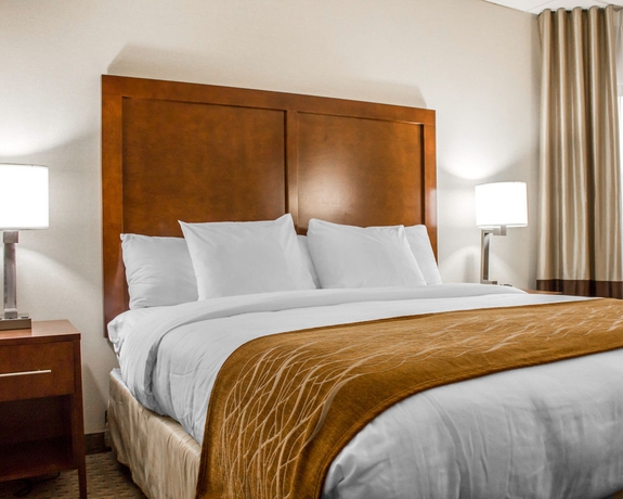 Imagen de la habitación del Hotel Comfort Inn Syosset. Foto 7