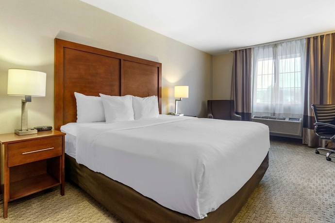 Imagen de la habitación del Hotel Comfort Inn Tacoma - Seattle. Foto 4