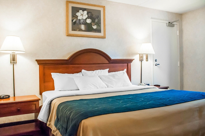 Imagen de la habitación del Hotel Comfort Inn The Pointe. Foto 9