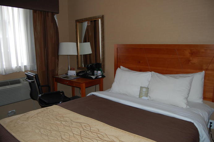 Imagen de la habitación del Hotel Comfort Inn Theatre District. Foto 5