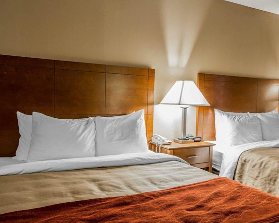 Imagen de la habitación del Hotel Comfort Inn Thomasville I-85. Foto 10