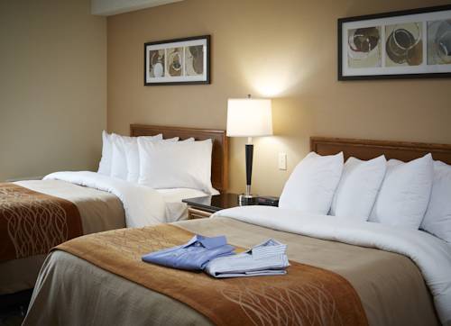 Imagen de la habitación del Hotel Comfort Inn Thunder Bay. Foto 8