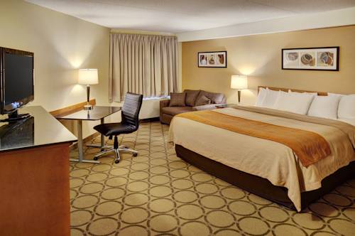 Imagen de la habitación del Hotel Comfort Inn Thunder Bay. Foto 11