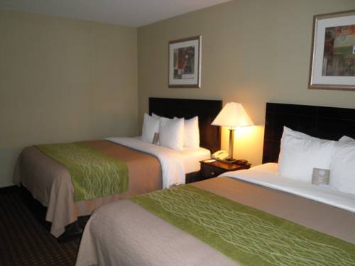 Imagen de la habitación del Hotel Comfort Inn Toms River Seaside Heights. Foto 7