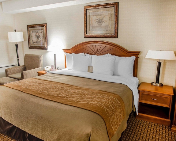 Imagen de la habitación del Hotel Comfort Inn Toronto Northeast. Foto 3