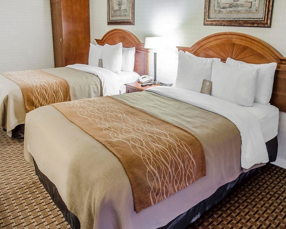 Imagen de la habitación del Hotel Comfort Inn Toronto Northeast. Foto 4