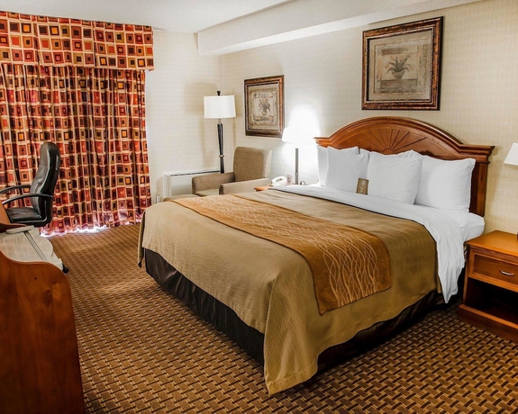 Imagen de la habitación del Hotel Comfort Inn Toronto Northeast. Foto 6