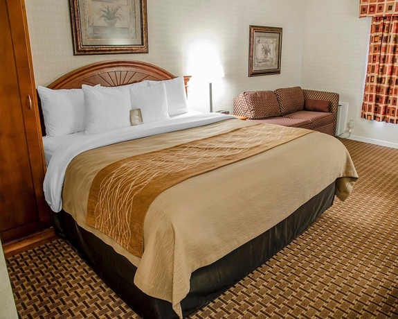 Imagen de la habitación del Hotel Comfort Inn Toronto Northeast. Foto 8