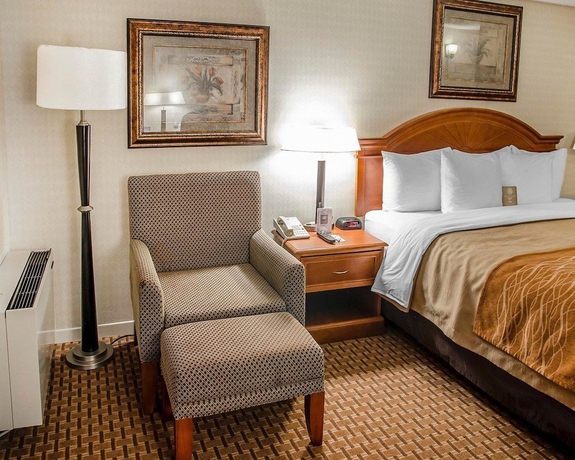 Imagen de la habitación del Hotel Comfort Inn Toronto Northeast. Foto 9