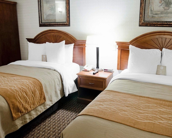 Imagen de la habitación del Hotel Comfort Inn Toronto Northeast. Foto 10