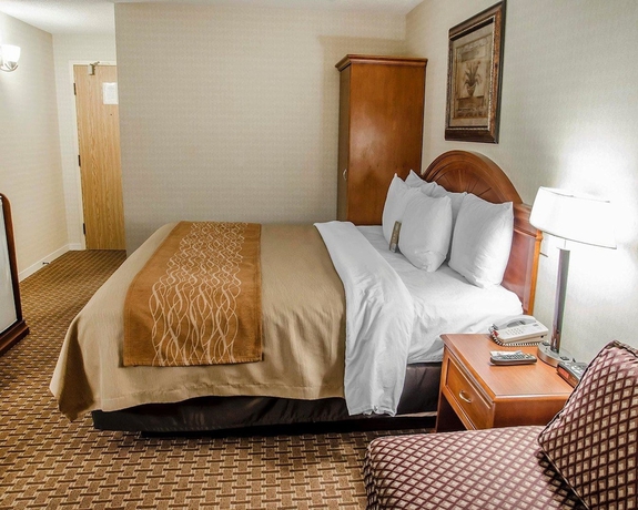 Imagen de la habitación del Hotel Comfort Inn Toronto Northeast. Foto 11