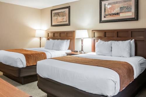 Imagen de la habitación del Hotel Comfort Inn Traverse City. Foto 5