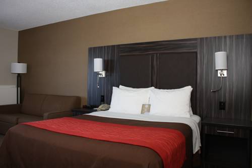 Imagen de la habitación del Hotel Comfort Inn Trenton. Foto 3