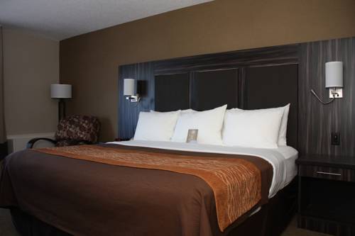 Imagen de la habitación del Hotel Comfort Inn Trenton. Foto 4