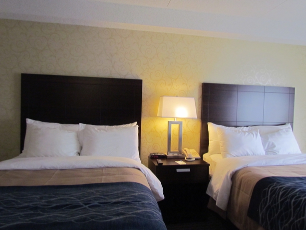 Imagen de la habitación del Hotel Comfort Inn Trois-rivières. Foto 7