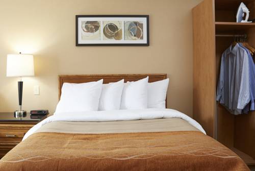 Imagen de la habitación del Hotel Comfort Inn Truro. Foto 12