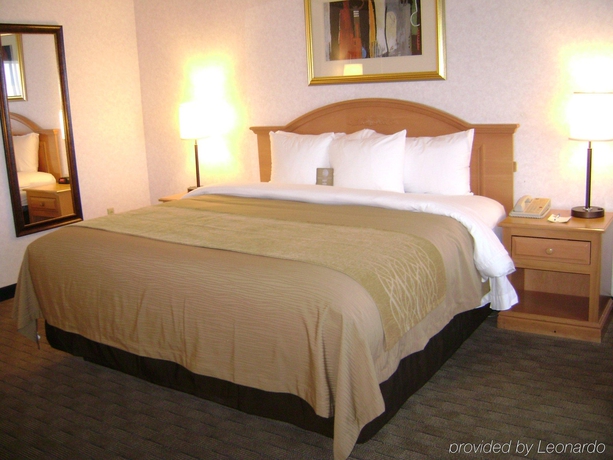 Imagen general del Hotel Comfort Inn Tucson Central. Foto 6