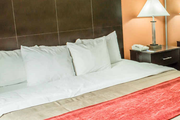 Imagen de la habitación del Hotel Comfort Inn University Durham - Chapel Hill. Foto 4
