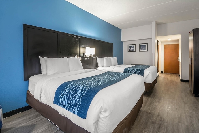 Imagen de la habitación del Hotel Comfort Inn University, Gainesville. Foto 10